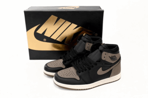 Nike Air Jordan 1 High OG - Palomino 6